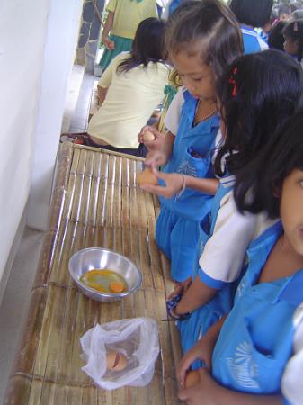 DSC00542