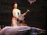 DSC02942