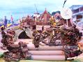 DSC08531