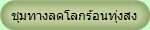 ชุมทางลดโลกร้อนทุ่งสง